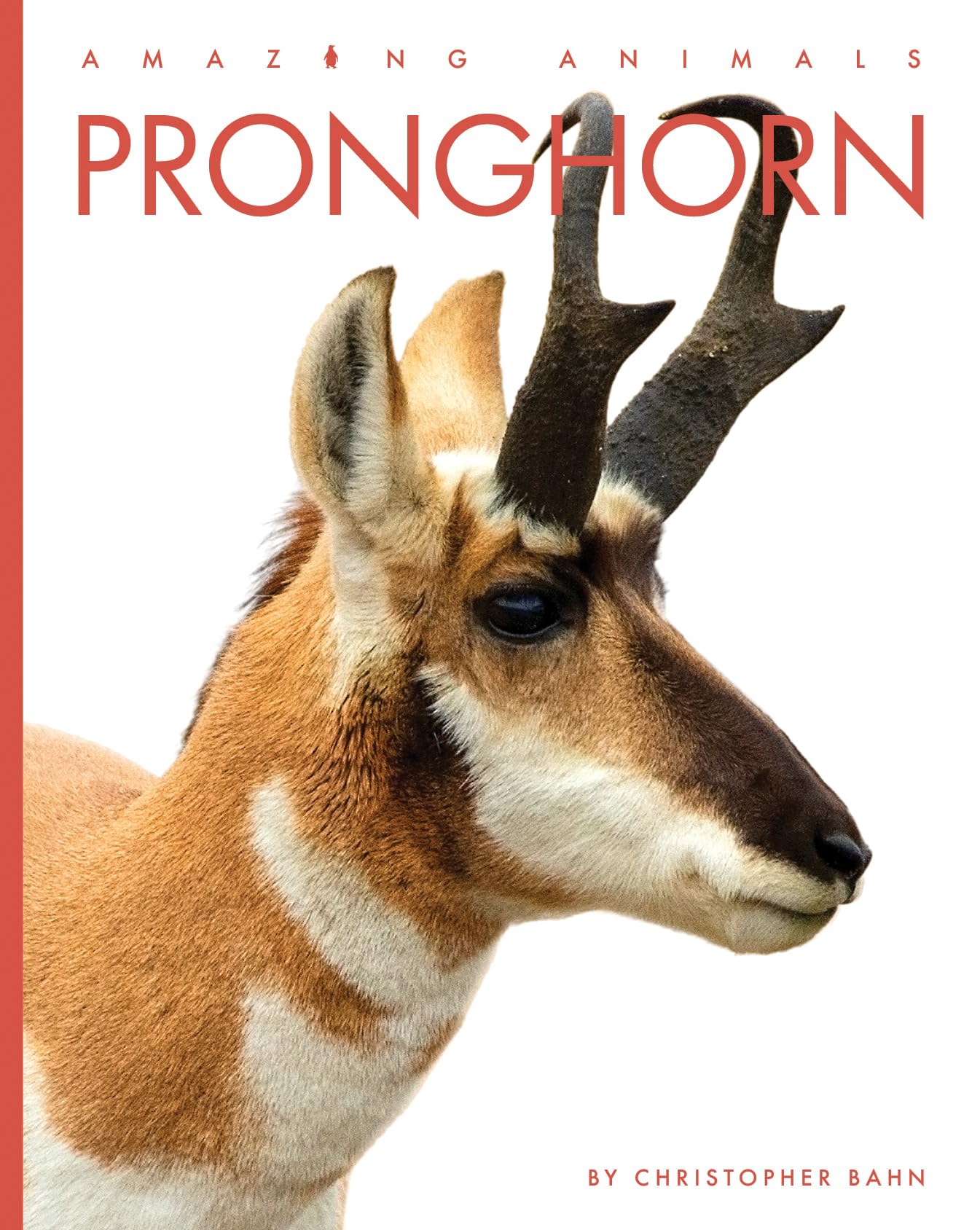 Pronghorn (Amazing Animals)