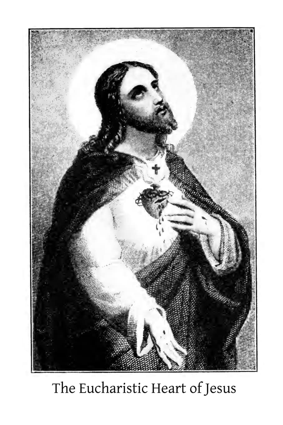 The Eucharistic Heart of Jesus: Readings for the Month of June