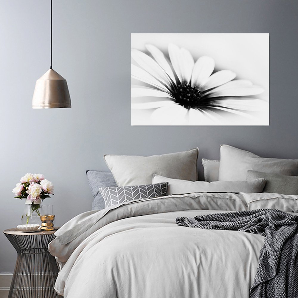 Feeby. Cuadro en Lienzo - 1 Parte - 50x70 cm, Imagen impresión Pintura decoración Cuadros de una Pieza, Margarita, Flor, Naturaleza, Blanco Y Negro
