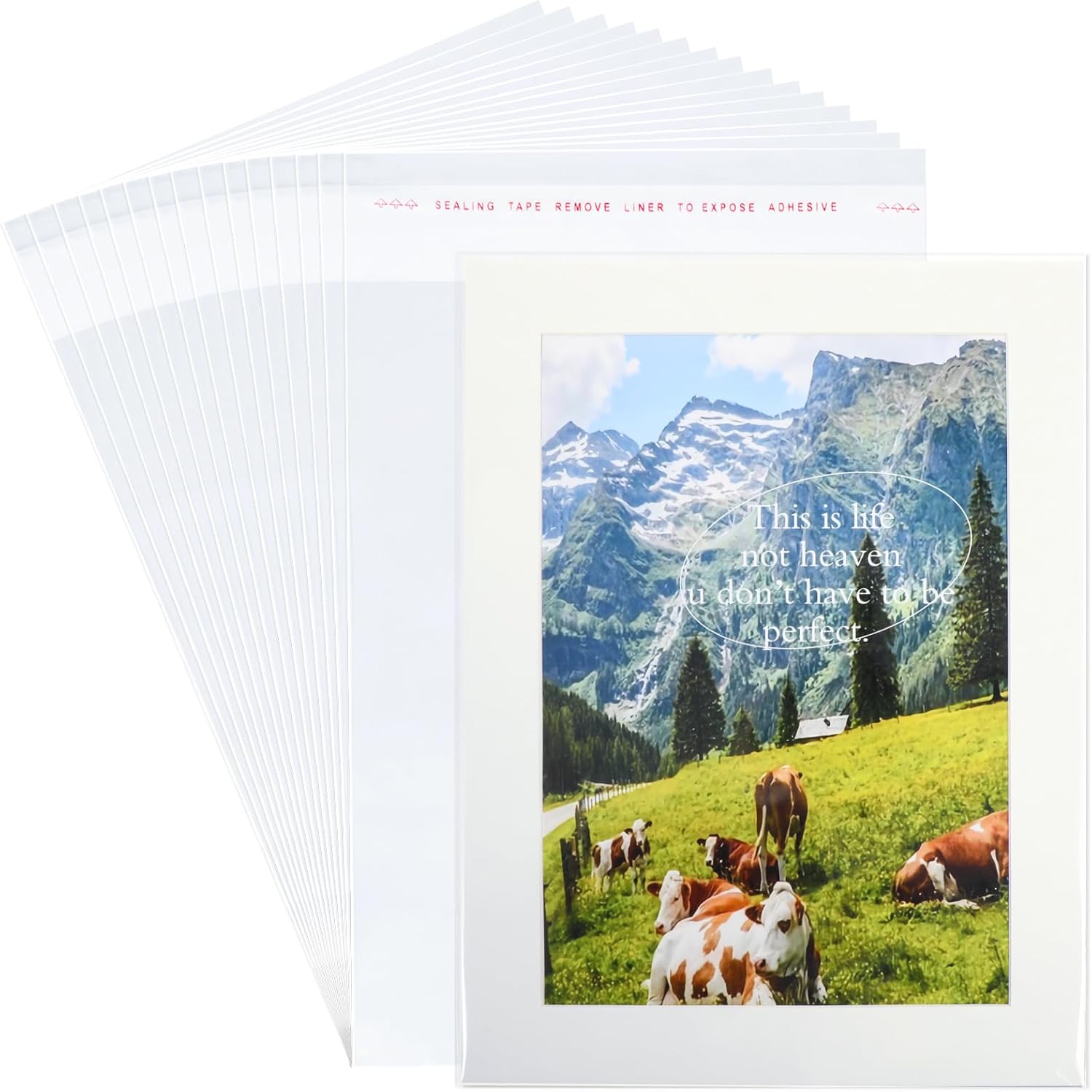 50 Pcs 9-3/8 x 12-2/5 Resealable Cello Cellophane Bags Clear Plastic Sleeves – Fit 9×12 Inch Watercolor Paper Photo Mats Magazine Art Prints Clothes