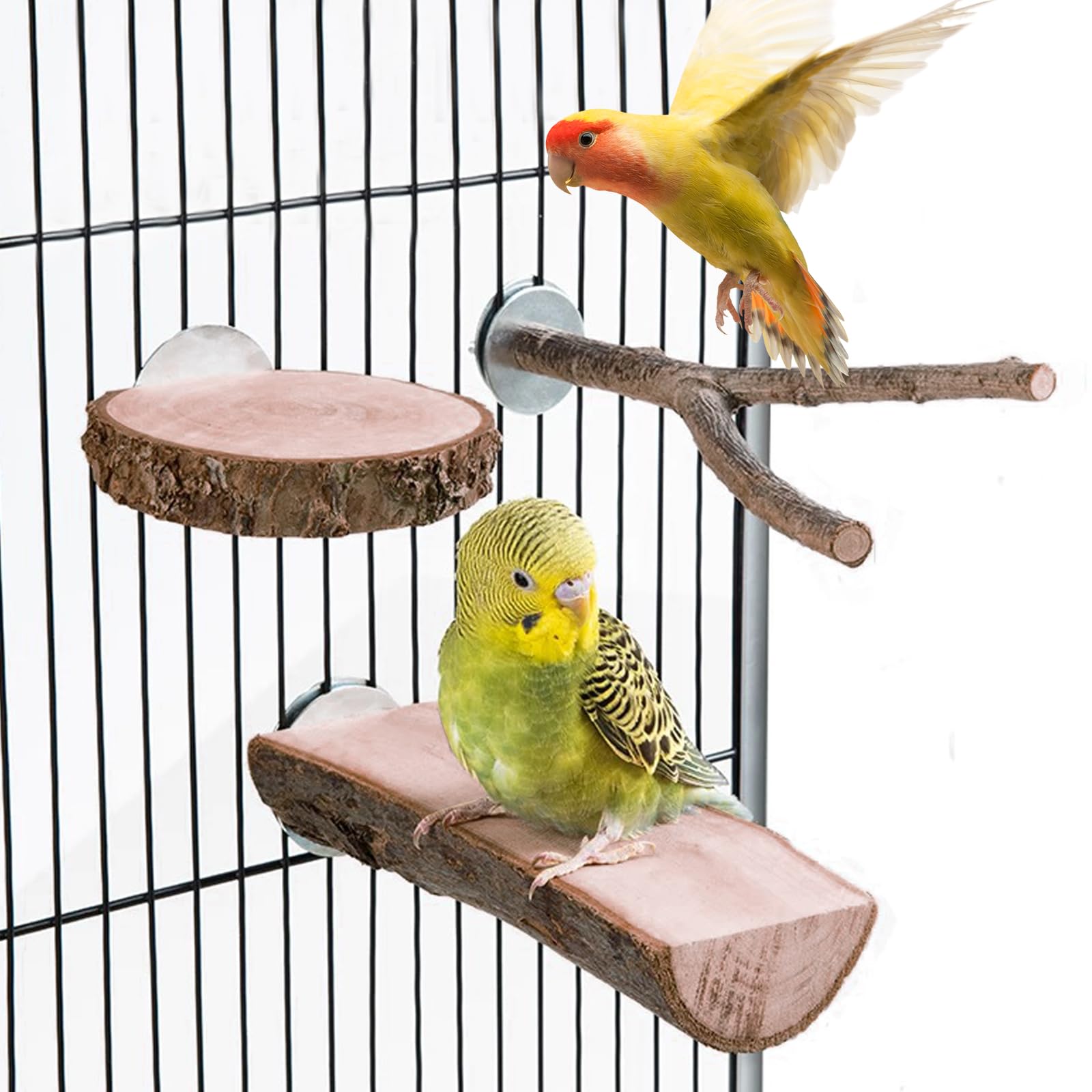 9 posatoi naturali per uccelli: LEKEFETO giocattoli per uccelli con rami multipli, posatoi per uccelli in legno naturale, per parrocchetti, canarini, pappagalli passerieri