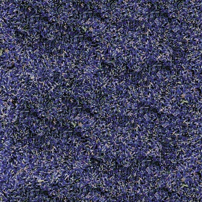 Paquete Regalo de Lavanda Seca Francesa miniatura 2