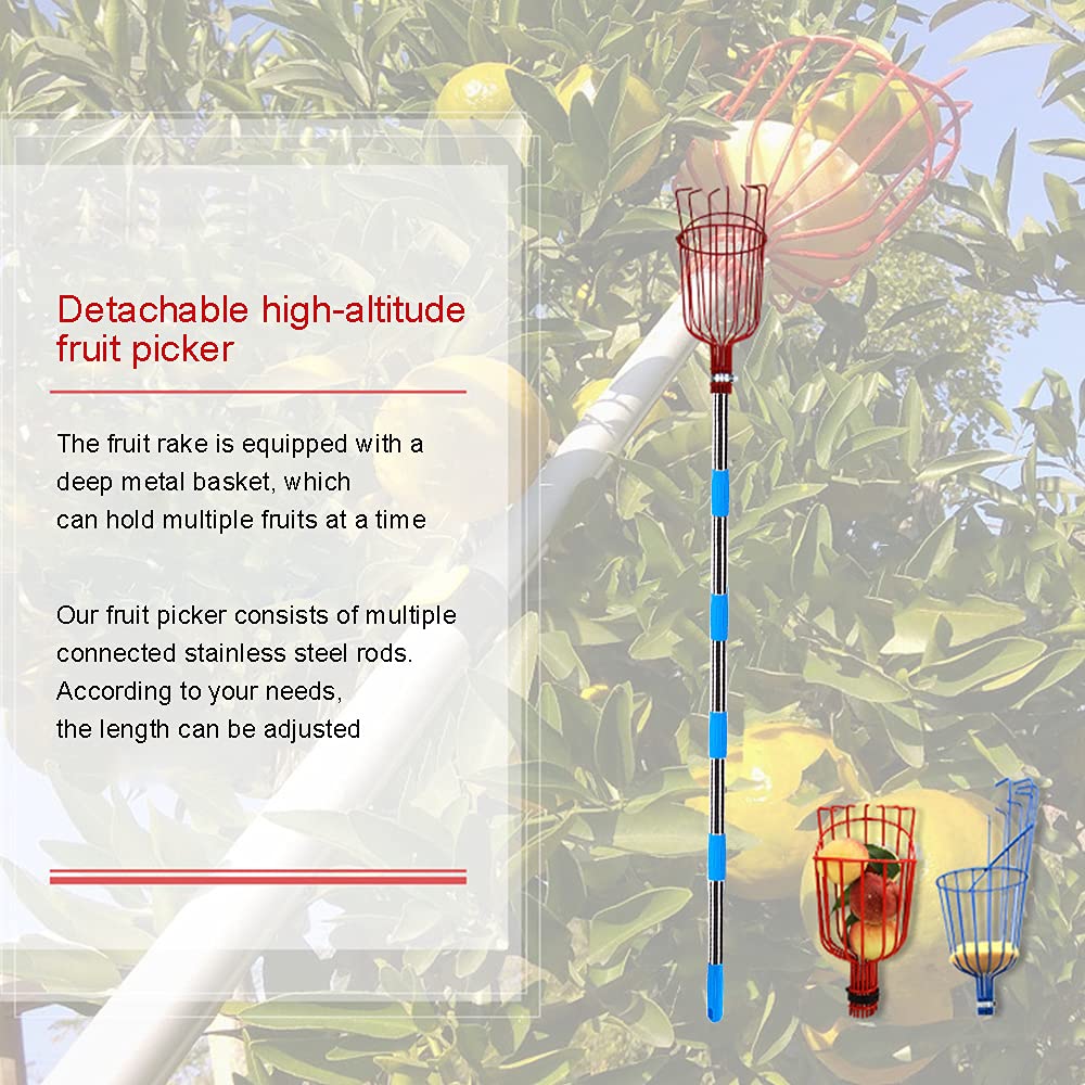 Raccogli Frutta Telescopico, Raccogli Ciliegie da Albero, Raccoglifrutta per Albicocche, Raccoglitori con Asta Regolabile 1.6 / 2.4 / 3.6m Harvesters Metallo Attrezzo per Mele Pere Limone (Ø 145mm)