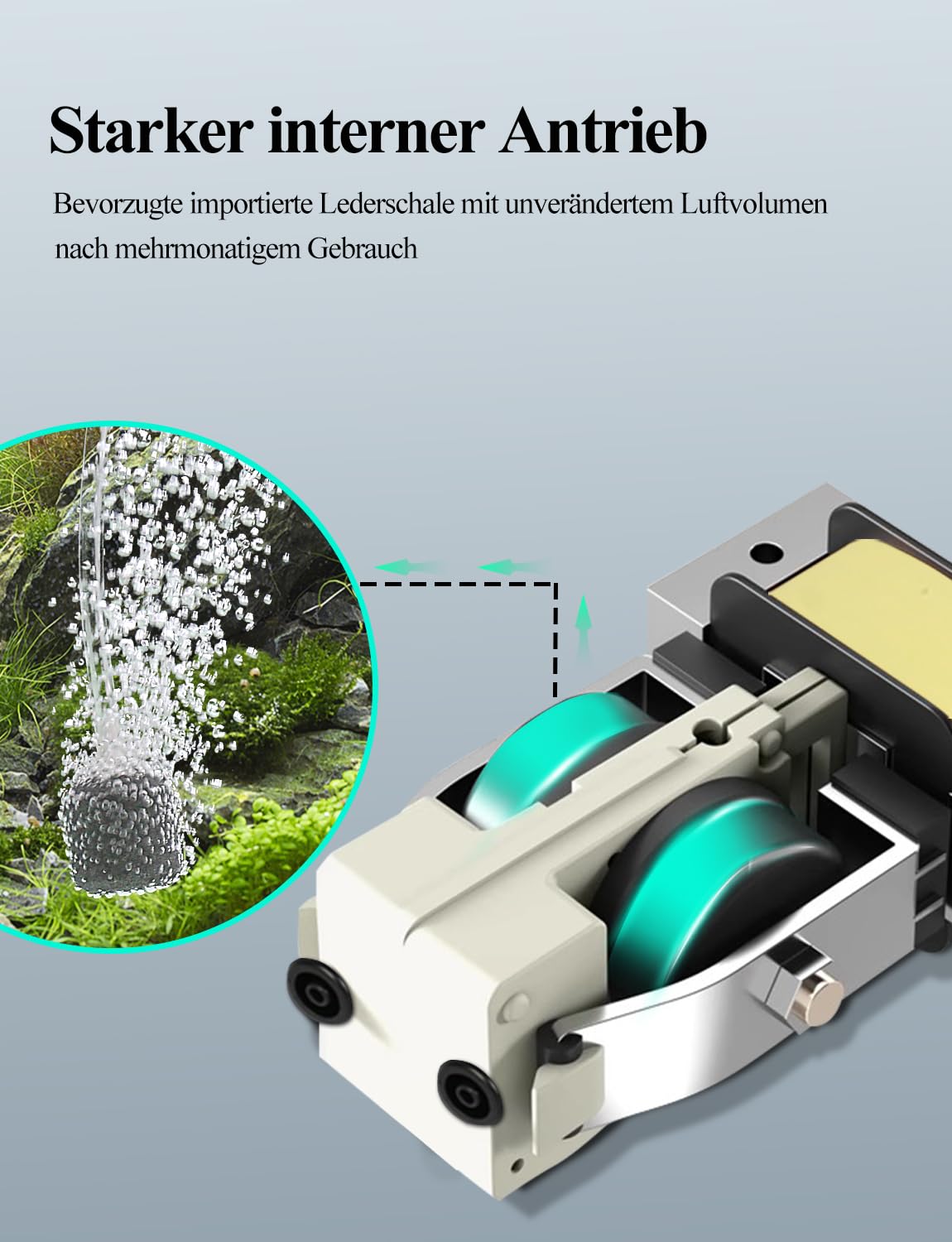 Boxtech Ossigenatore per Acquario Regolabile, Aeratore Acquario con Doppio Foro in Acciaio Inox, Potente Pompa per Acquario con Tubo d'aria, Pietra e Valvola di Non Ritorno