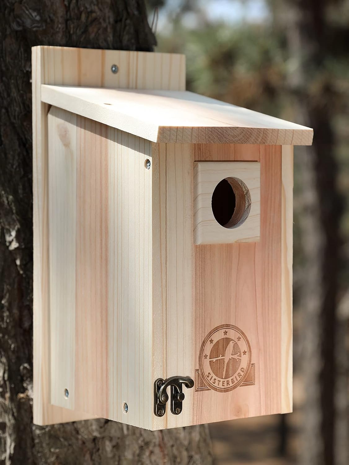 SISTERBIRD Bird Houses for Outside 1-1/2" Entrance Hole Cedar Wild BirdHouses Outdoor Decoration Bluebird Wren Swallow Finch Cardinal Assembly Required : Patio, Lawn & Garden