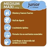 Ver la foto 3