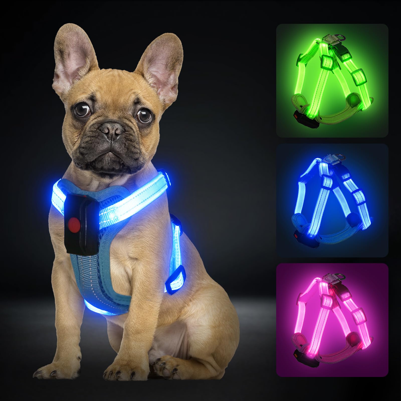 Amazon | PZRLit 光る犬用ハーネス 小型犬・子犬・猫用 充電式 反射