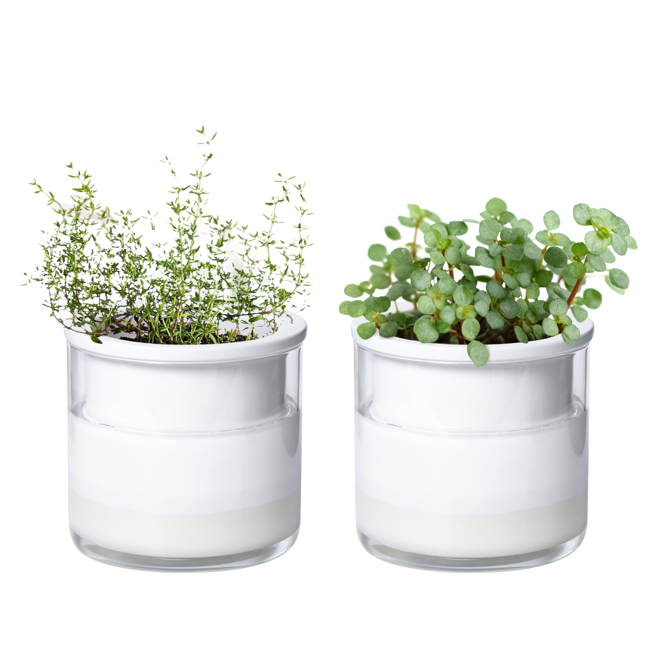 Phoenix Vine 4 Inch Self Watering Planter Pot, Design White Terracotta Pots for Plants, Indoor Cylinder Terra Cotta Pots with Glass Vase, Set of 2, 51-B-E-2