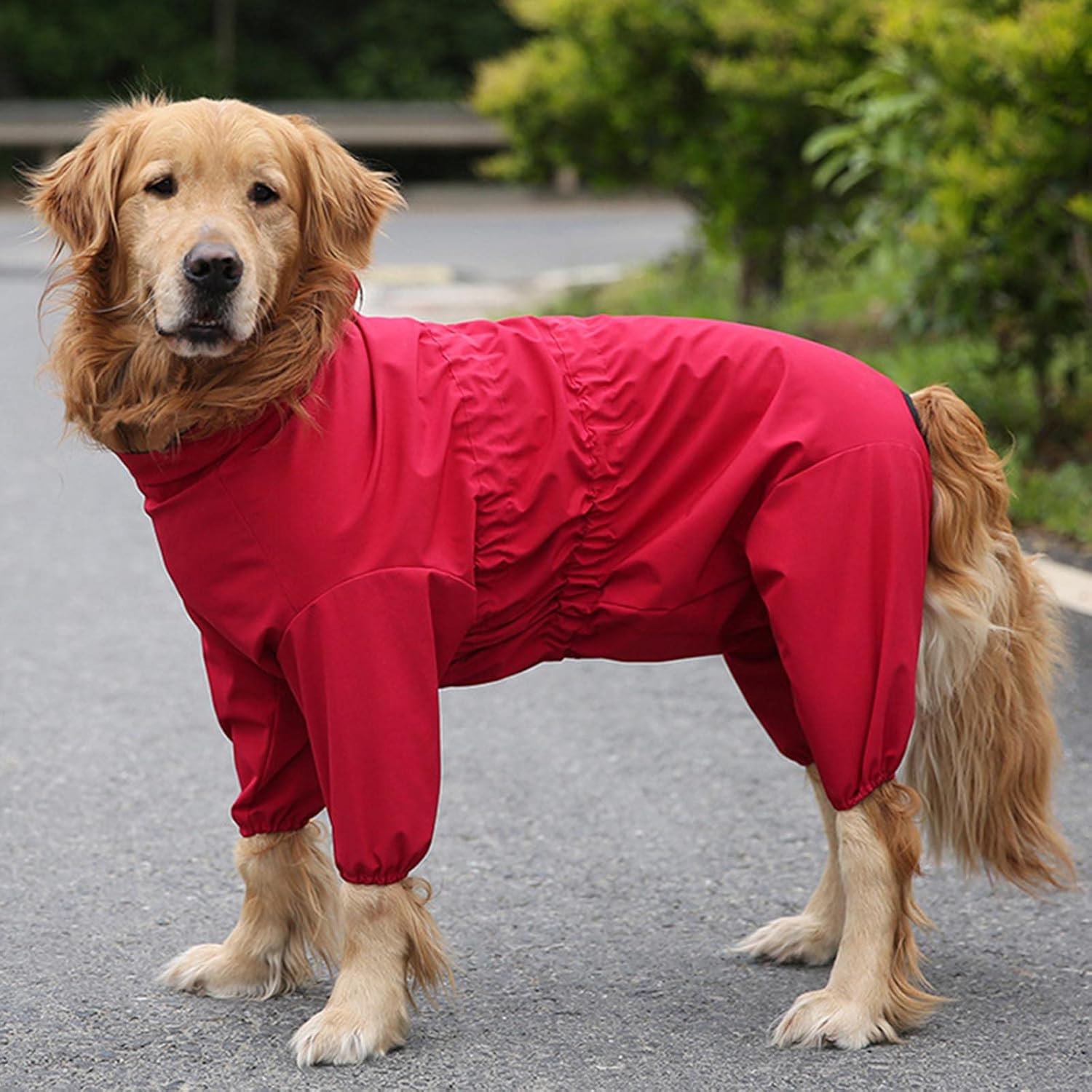 Dog Raincoat Waterproof Dog Coat Jacket Dog Raincoats with Legs with Hood with Built in Harness Large Breed Pet Poncho 4 Legged Shrink Buckle Design Adjustable Size (26,red)