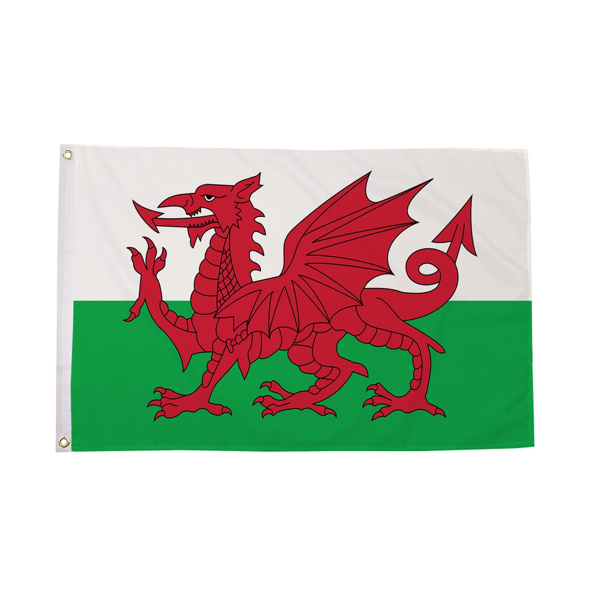 Flagtex Wales Flag 5ft x 3ft (150cm x 90cm) - Welsh Dragon British Home Nation Banner Weather Resistant Polyester for Garden Display & Sporting Events โ image 1