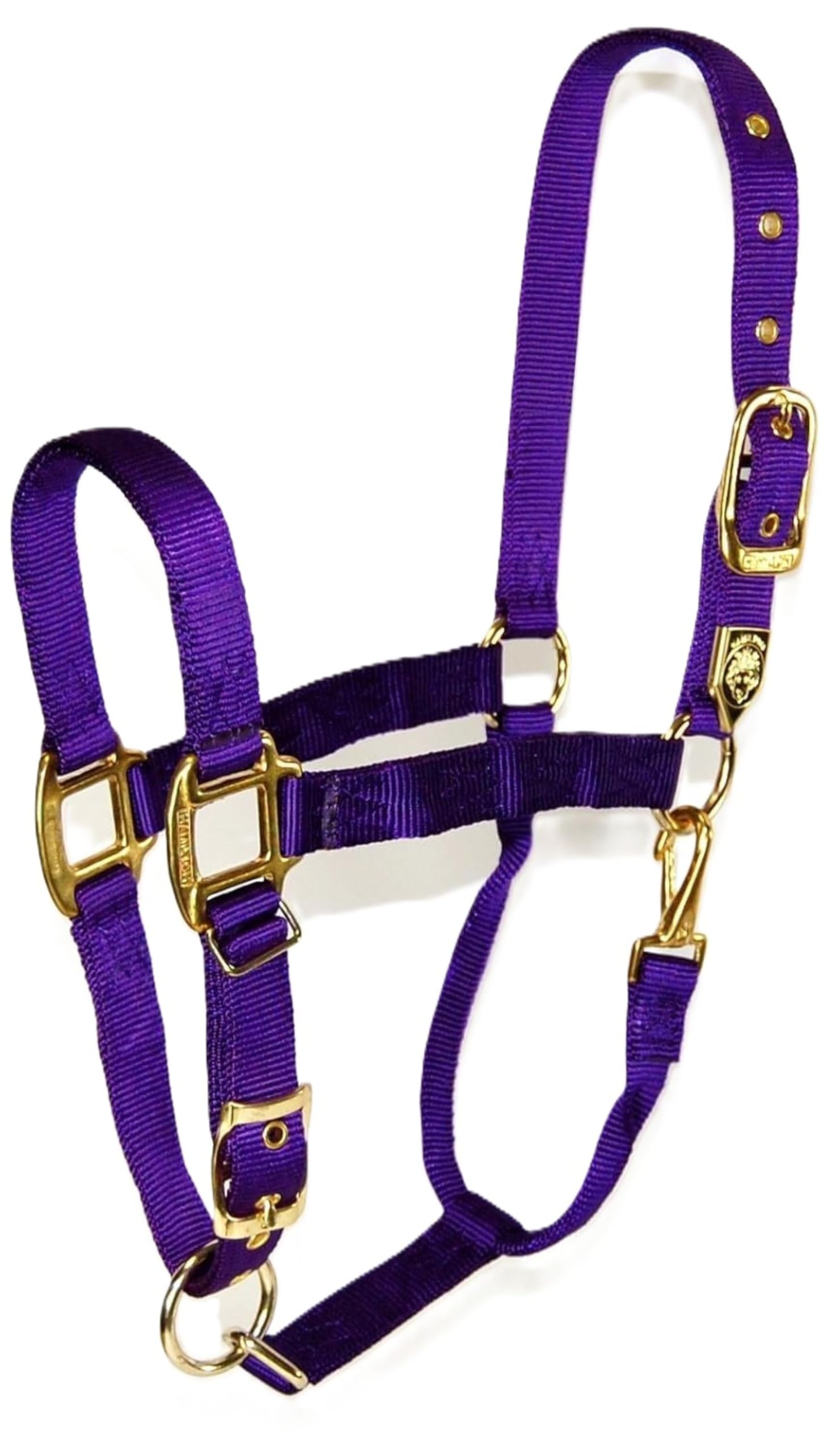Hamilton 1-Inch Nylon Halter with Adjustable Chin, Purple - Large Size