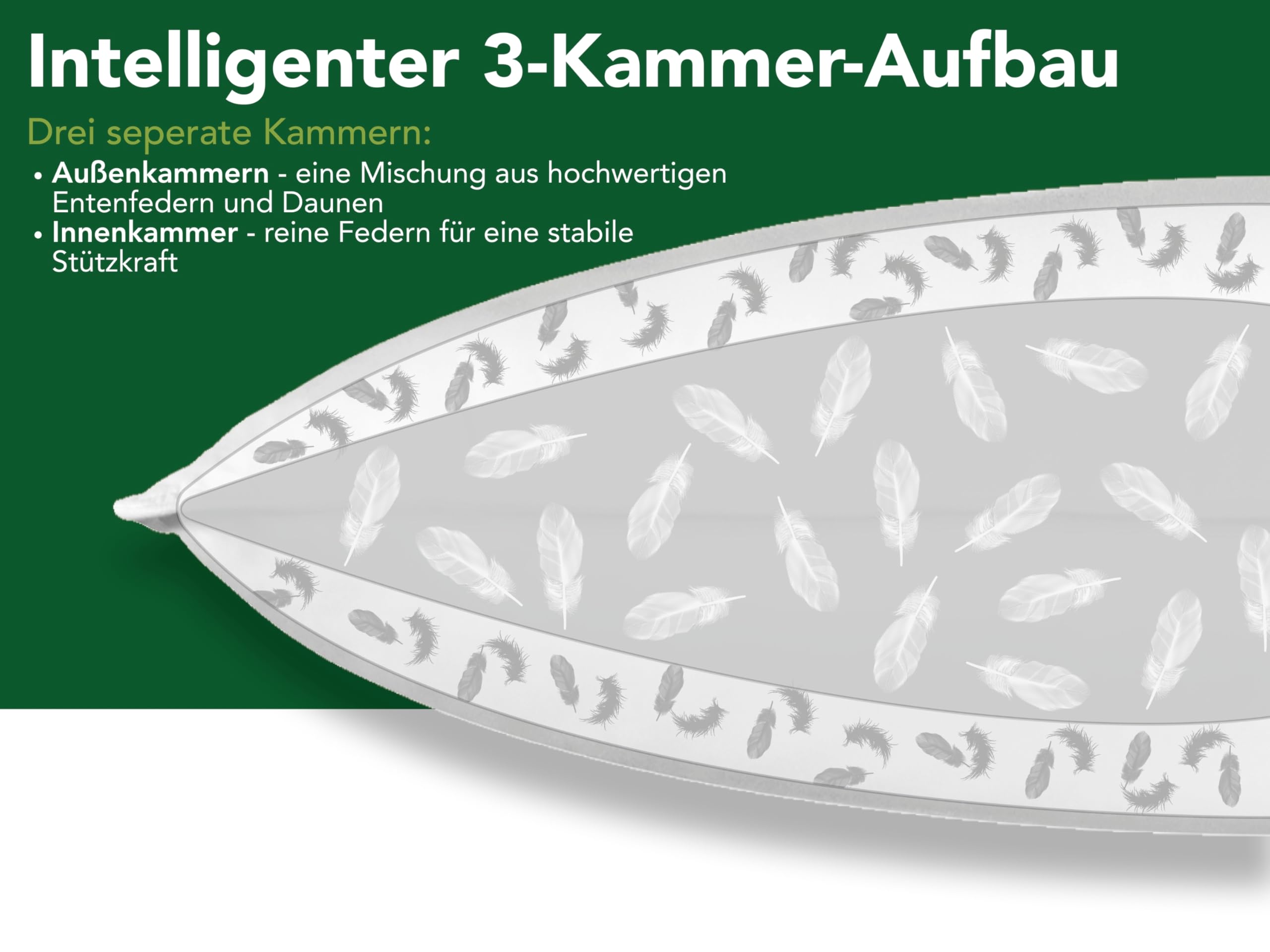 DREAMSTAR Daunenkissen 80 x 80 cm | 3-Kammer Daunenkopfkissen | Kopfkissen 80 x 80 Daunen & Federn | Kissen Öko-TEX® | Top Hotelqualität | Allergiker geeignet