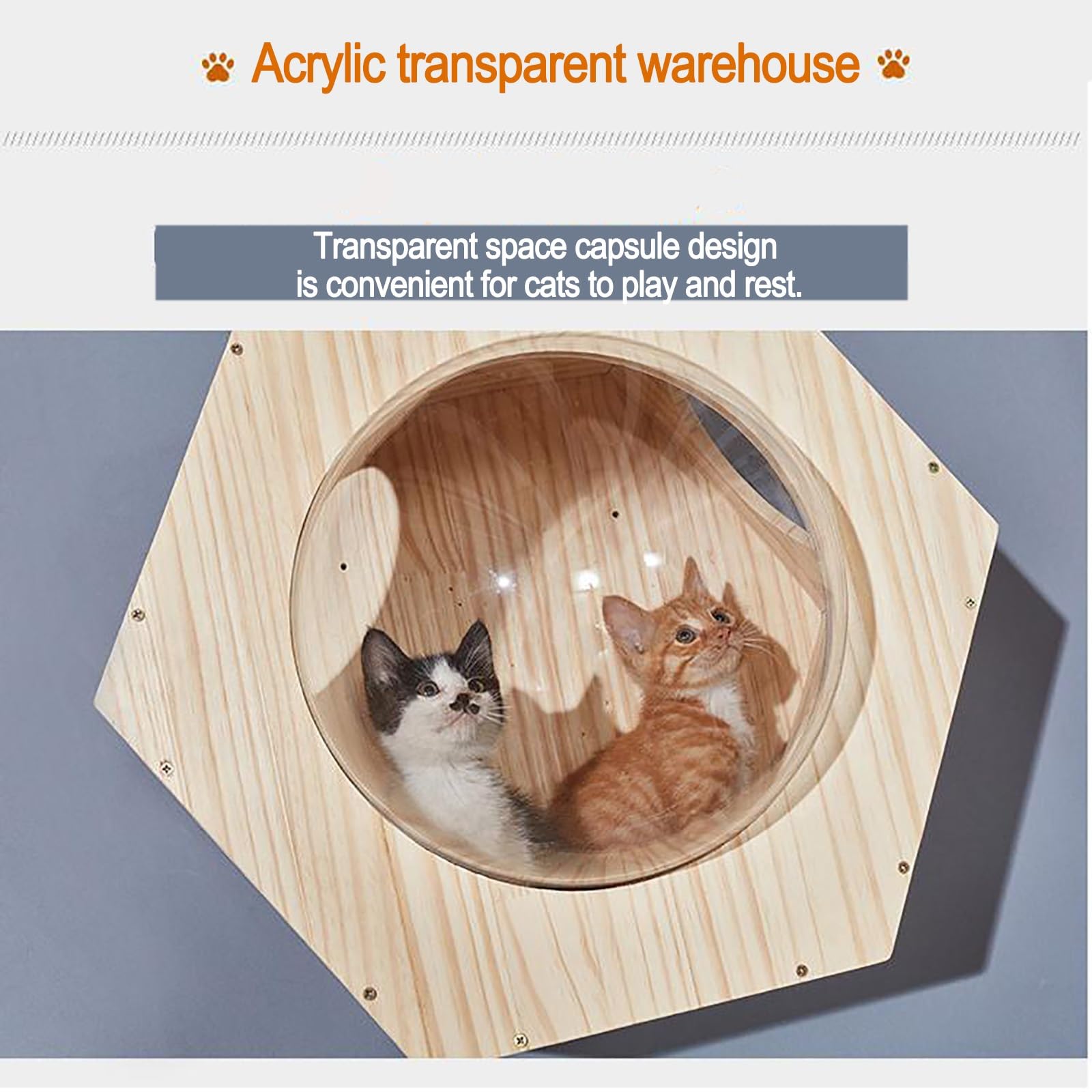 Mensole Gatti, Mobili per Gatti Montati a Parete in Pino, Set da 7 Pezzi, con Ripiani per Arrampicata, Trespoli, Ponte, Capsula Spaziale, Tiragraffi(5pcs)