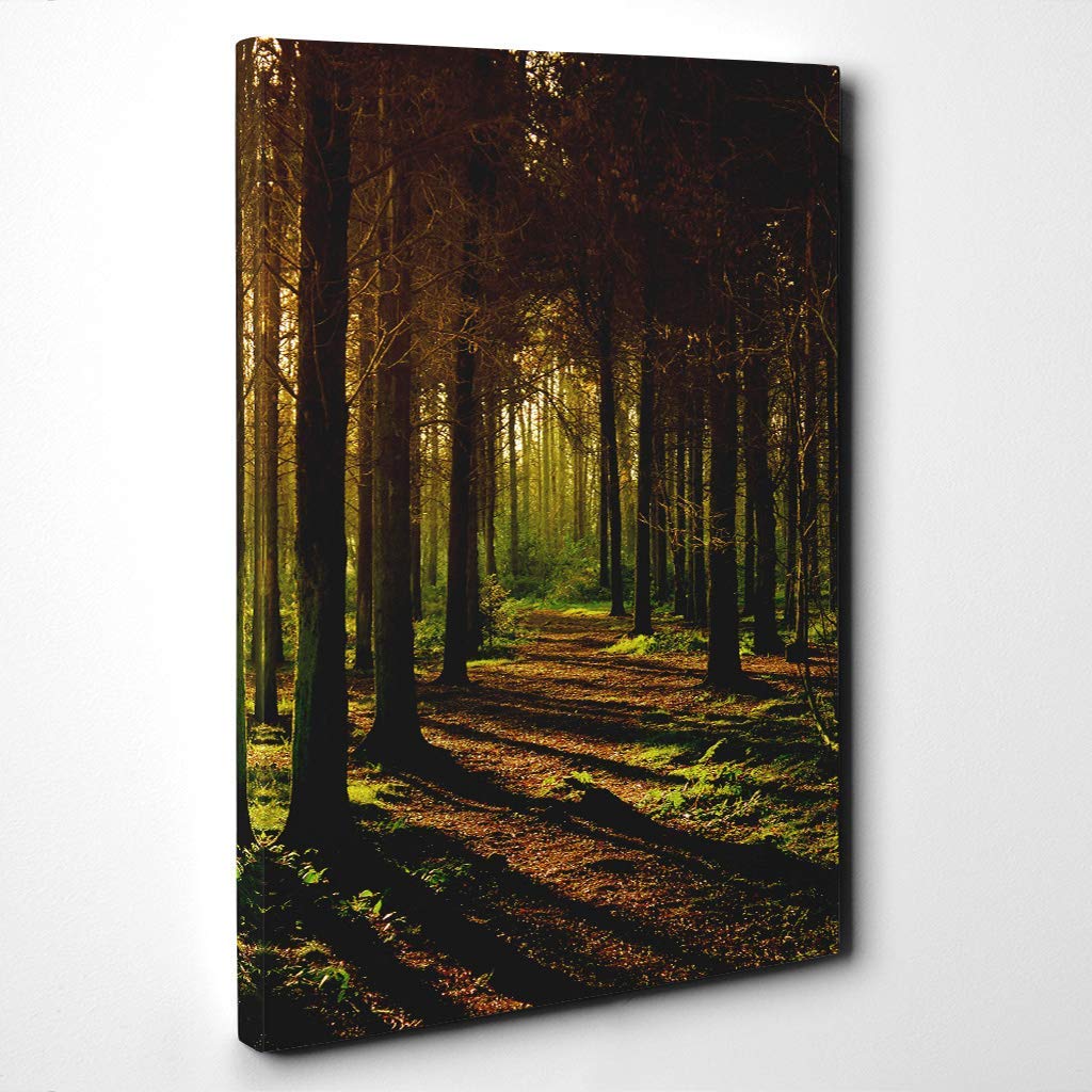Sunlight Forest Woodland Landscape (1) Canvas Print | Gallery Wrapped 30mm Frame Wall Art | 30x20 inches | Ready to Hang | Modern Landscape Picture | Living Room Bedroom Lounge Office