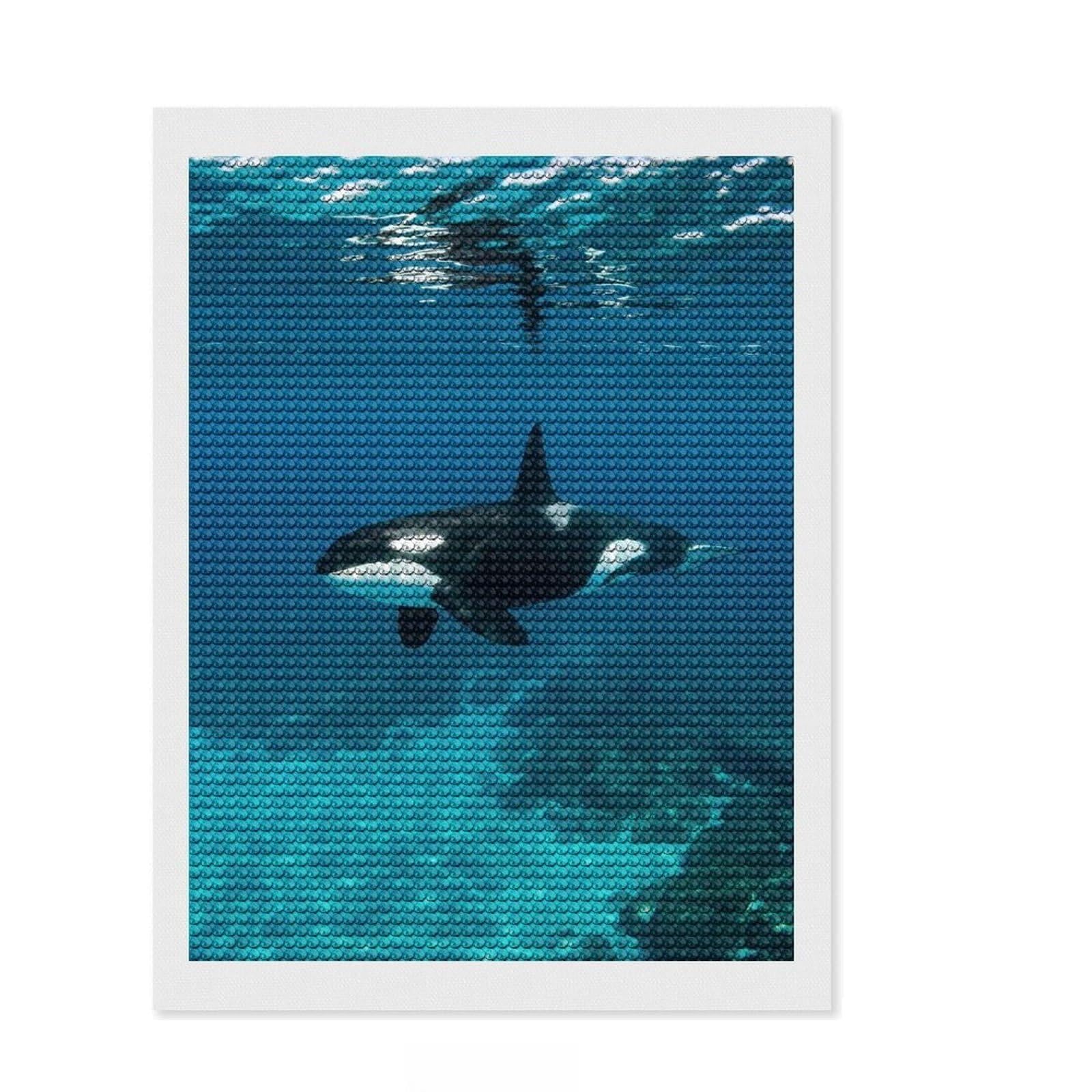Junmoney Orca Underwater 5D Diamond Painting Kit 12"x16", Adhesive Canvas, Boho Decor, Modern Decor, DIY Craft, Handmade Wall Decor
