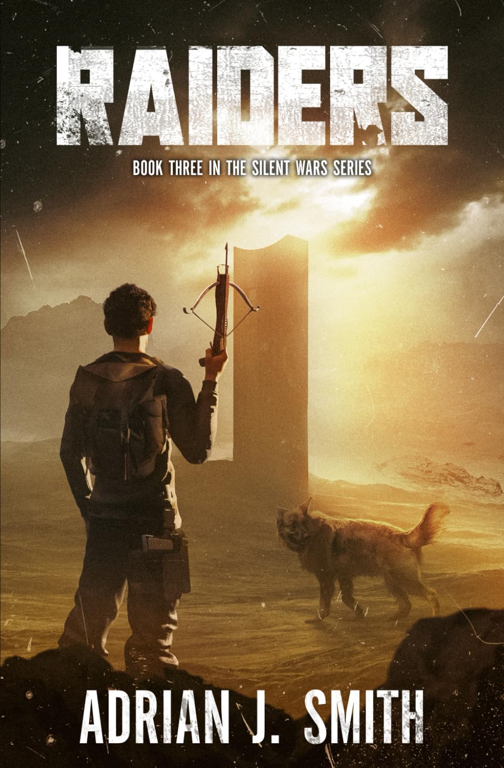 Raiders: 3 (The Silent Wars)