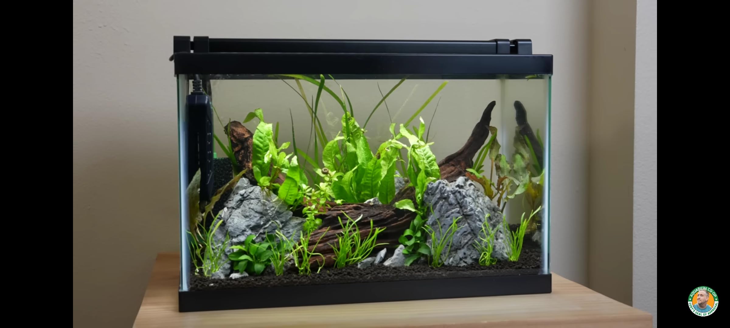 Amazon Premium Planted Aquarium Soil | Safe Substrate for Aquatic Plants | (Amazon Soil, 1L) 2