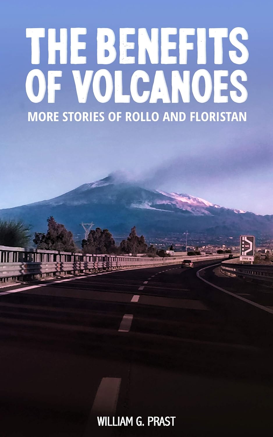 The Benefits of Volcanoes eBook Prast, William G Kindle