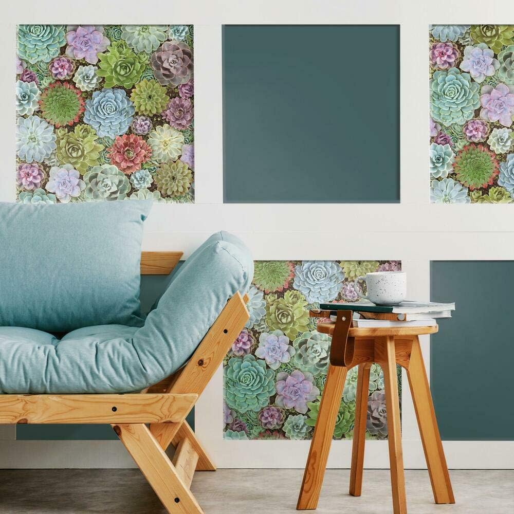 RoomMates RMK11249RL Colorful Succulents Peel and Stick Wallpaper , Green