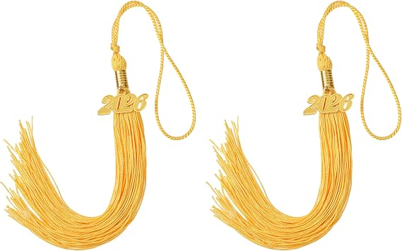 2 Pieces Graduation Tassel with 2025 Year Charm, Graduation Cap Tassel, Single Color Tassel, 2025 Graduation Hat Tassel Ceremonies Accessories 2, Gold