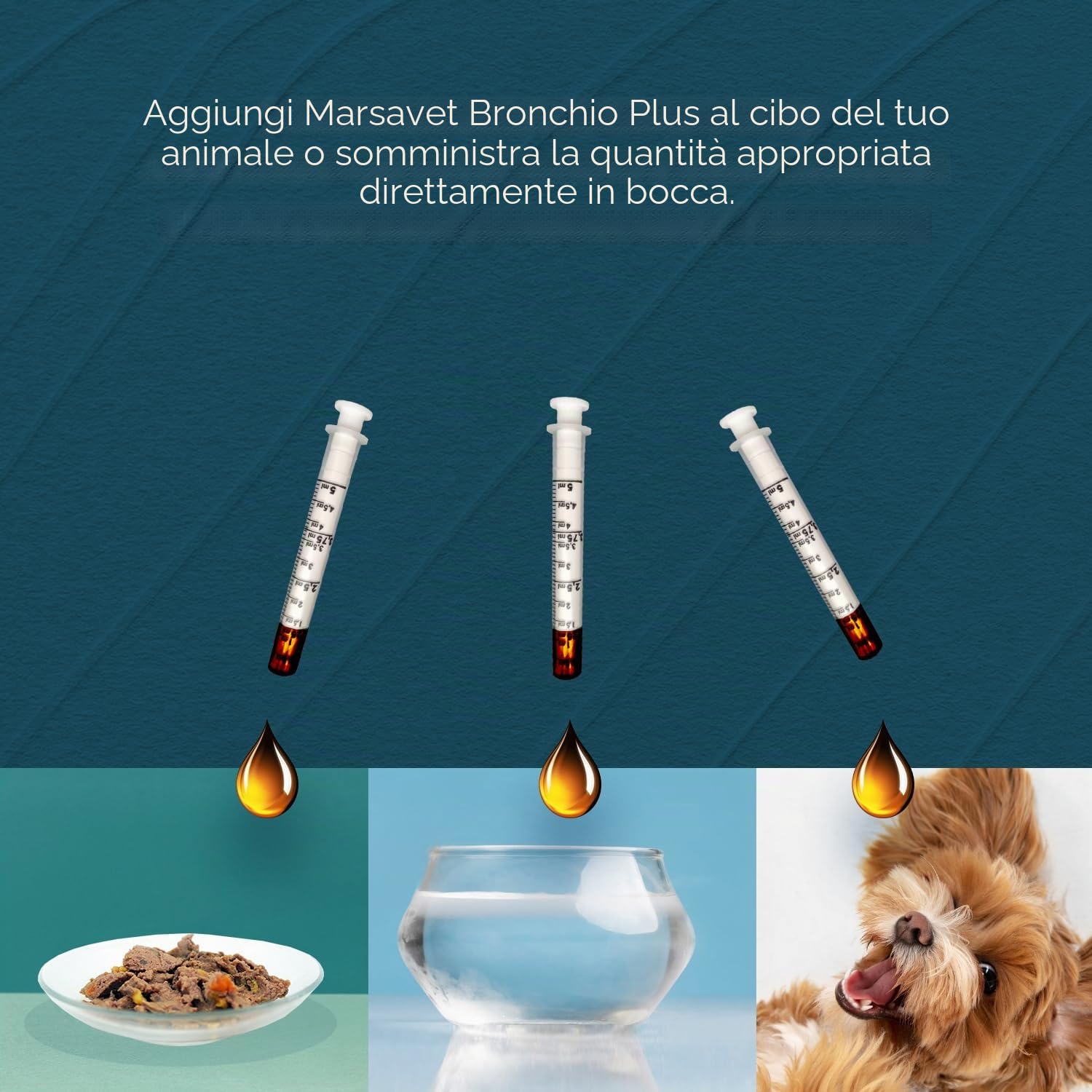 Marsavet Bronchio Plus - 100 ml. Sciroppo per la tosse per cani, gatti, roditori e uccelli. Integratore alimentare per sostenere il sistema respiratorio e immunitario con miele ed estratto di malto.