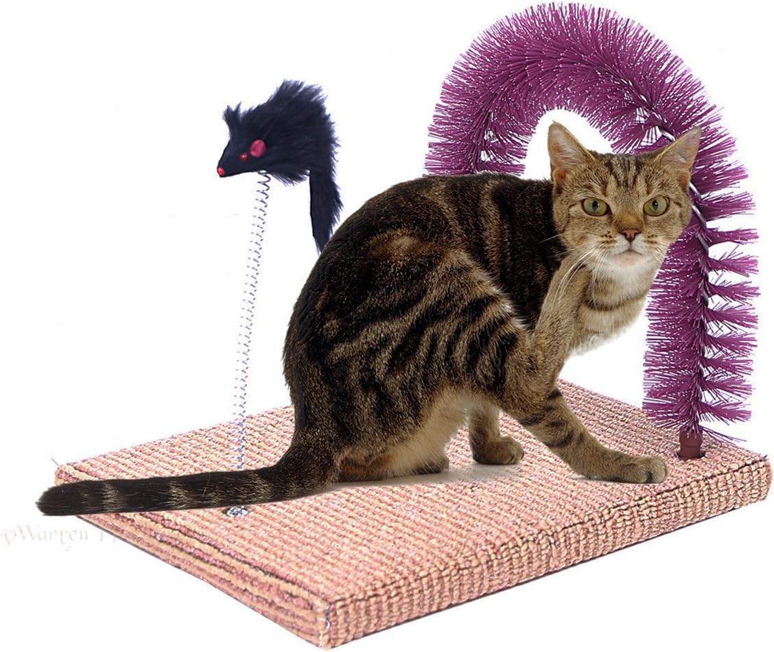 Evalan Cat Scratching Post Arch Self Groomer and Massage Durable Bristles with Mouse Moving Cats Toy