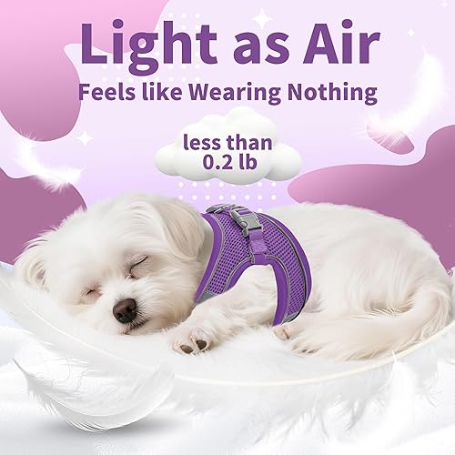 Miniatura 35 de AIITLE Arnés Escalonado para Perro y Juego de Correa - Chaleco Arnés a Prueba de Escape Sin Tirones con Malla Suave y Bandas Reflectantes, Arneses