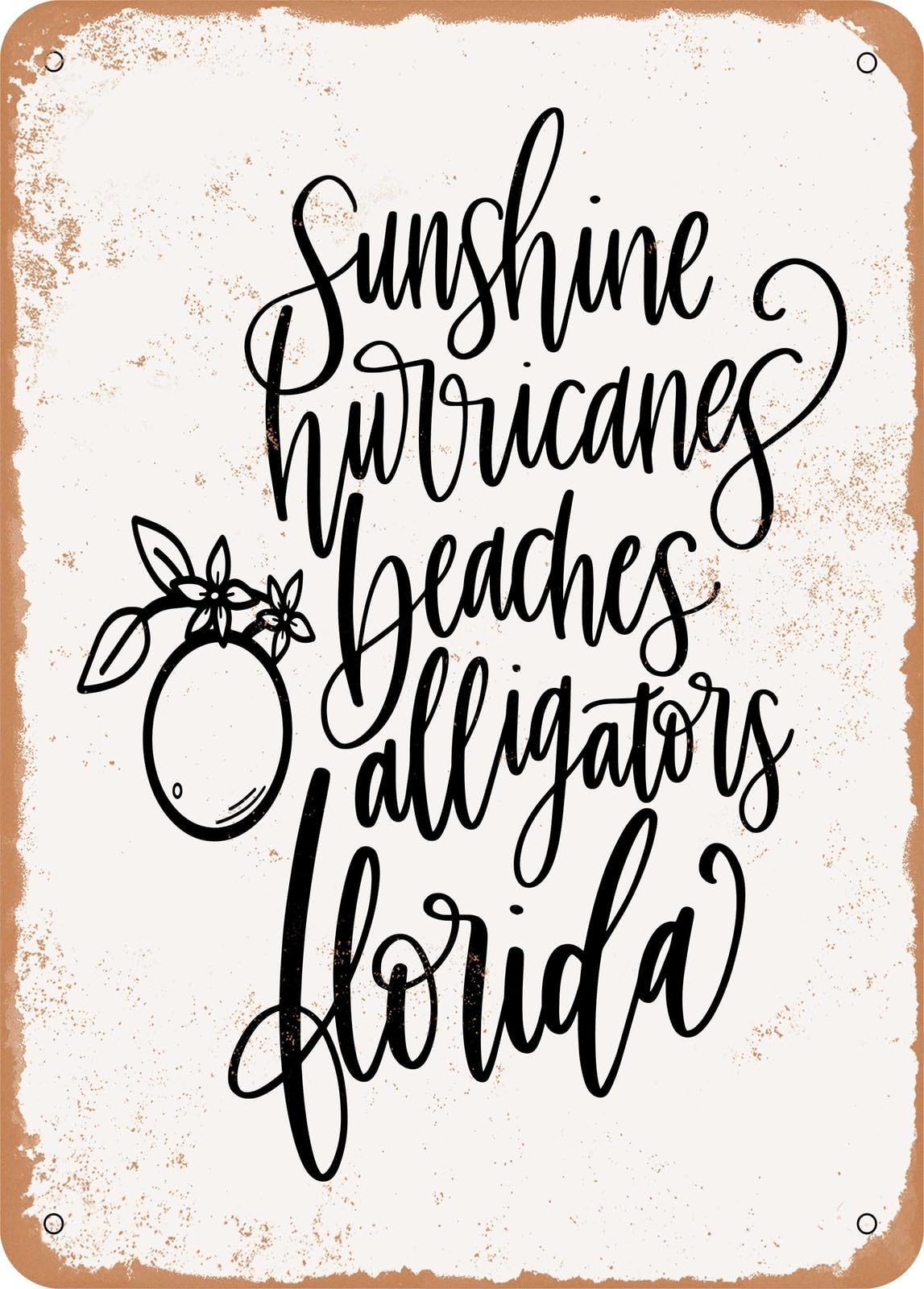 Miaomansenstore Metal Sign - Sunshine Hurricanes Florida - Vintage Look Home Decor