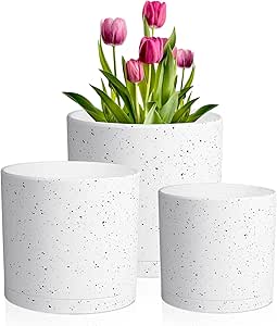 Selbstbewässernde Blumentöpfe 12,7 Cm (6 Zoll) – 6 Stück Mit Tablett, Baumwollseil Für Sukkulenten Und Zimmerpflanzen