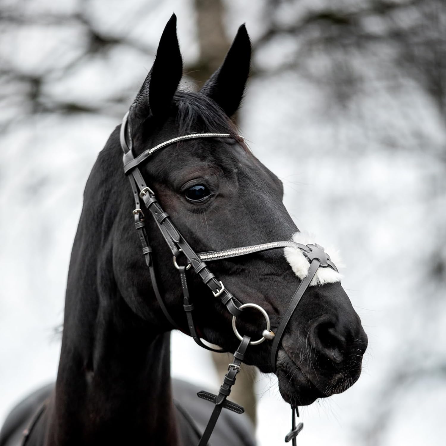 HORZE Valencia Figure 8 Bridle