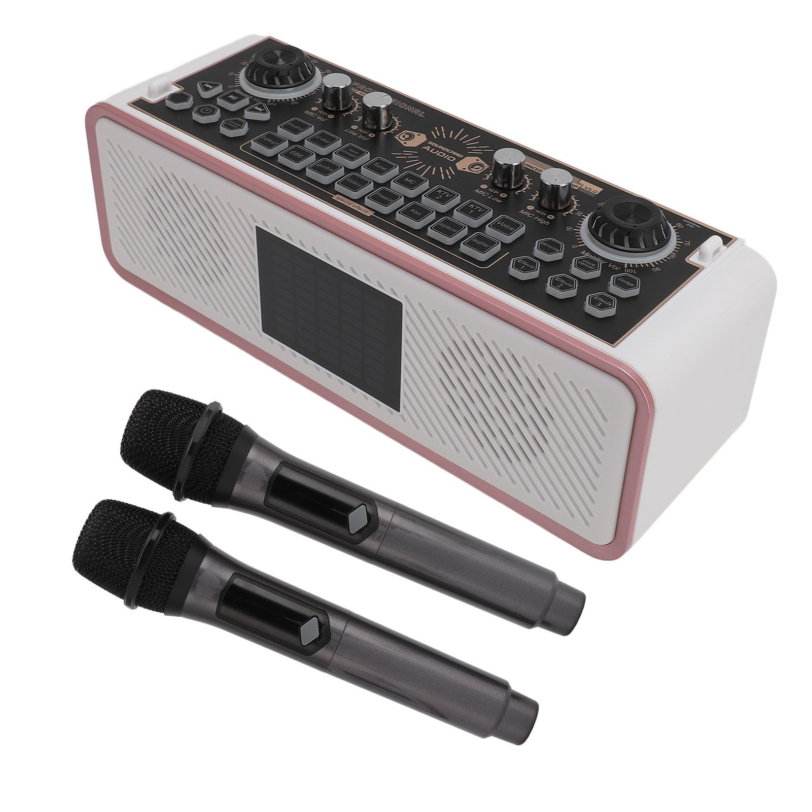 Kit Scheda Audio Karaoke, Pacchetto di Apparecchiature per Podcast Stereo HiFi con Scheda Mixer Audio e 2 Microfoni, Altoparlante Bluetooth per Canti, Riunioni, Chiese Dal