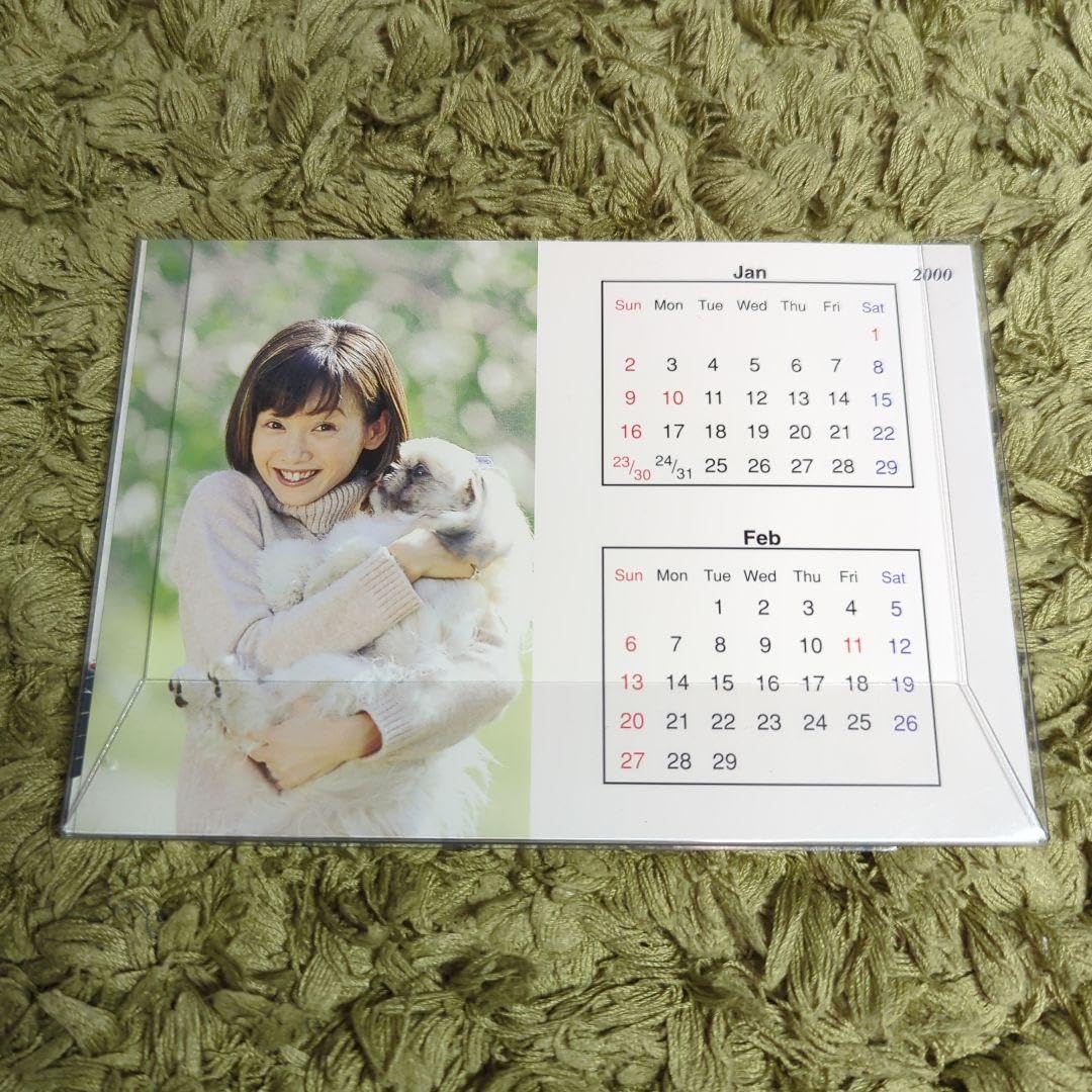 本田美奈子 カレンダー 2点セット