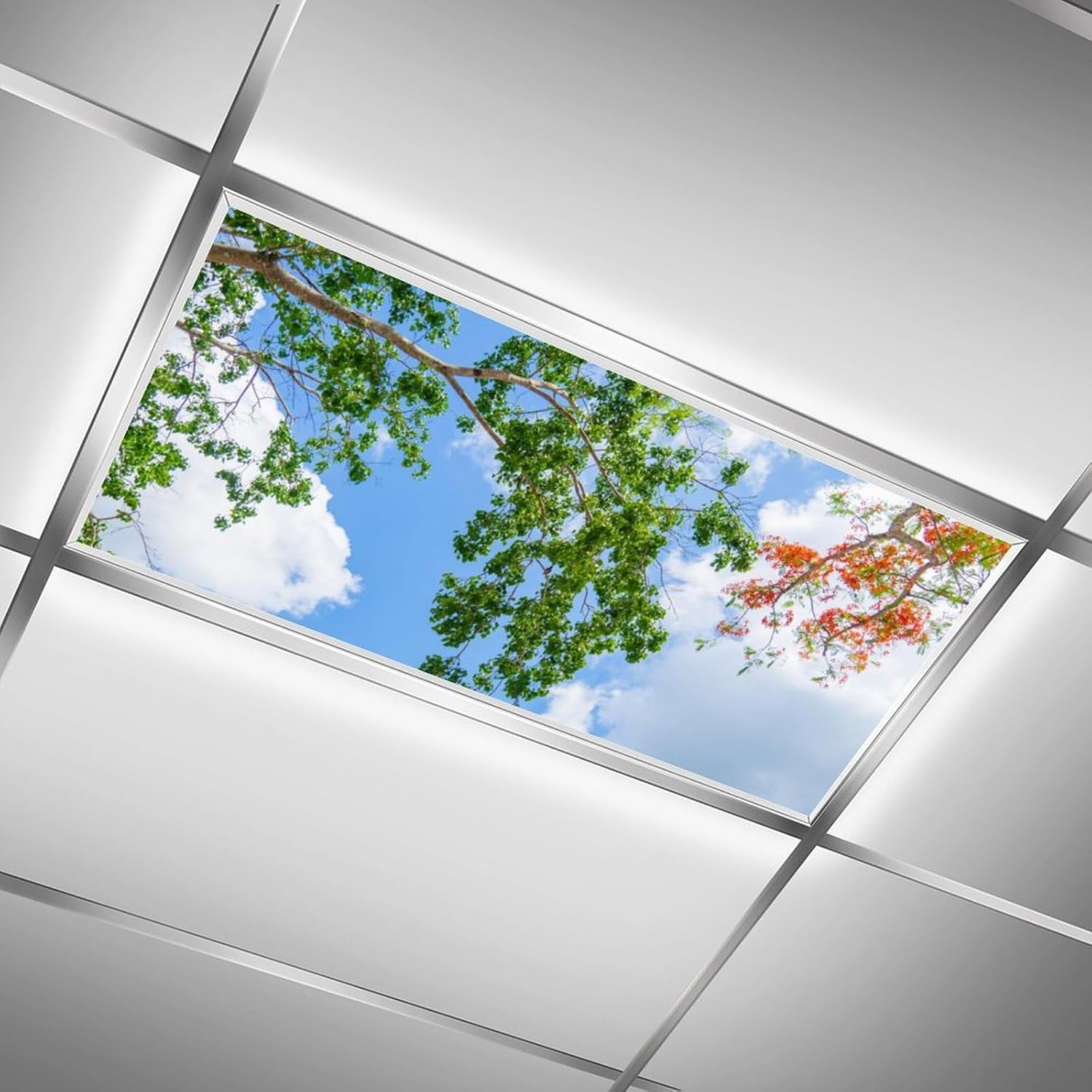 RoseFace 2PCS Fluorescent Light Covers for Classroom Ceiling Lights Magnetic Light Covers,Fluorescent Light Filters for School Home Office Drop Ceiling Lamp Decor Light Filters 4x2Feet(Autumn Tree)