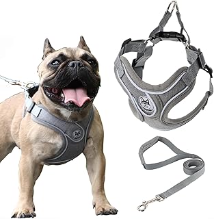 DDSColour Dog Vest Harness and Leash Set - Dog Vest Harness for Small Dogs Medium Dogs，Adjustable Reflective Step in Harness for Dogs，Soft Mesh Comfort Fit No Pull No Choke,Grey