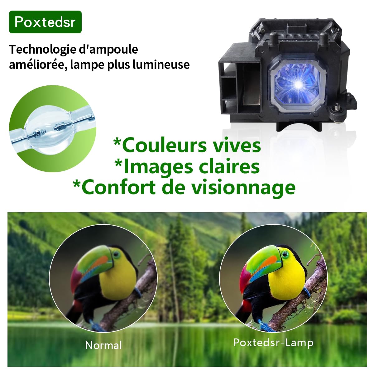 Produktbild von Nec NP16LP Original Ersatzlampe Für M260WS, M300W, M300XS, M311W, M350X