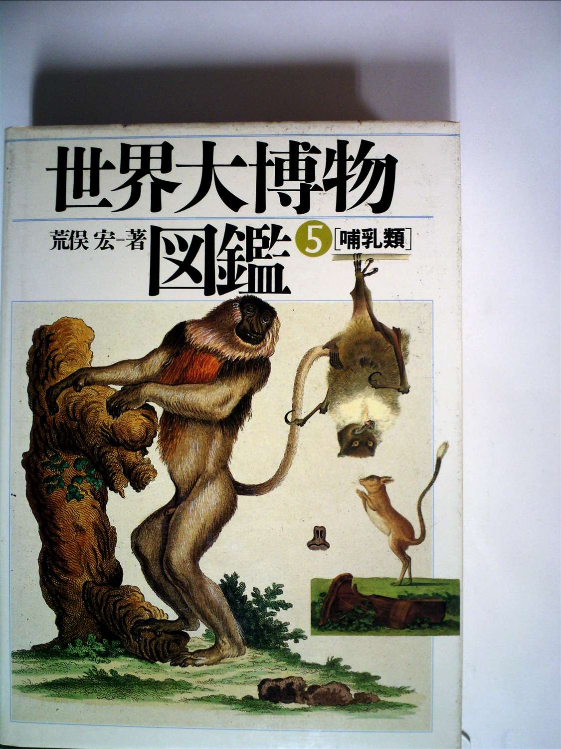世界大博物図鑑 5 哺乳類 荒俣宏 平凡社 哺乳類 (世界大博物図鑑(5)) | 荒俣 宏 |本 | 通販 | Amazon