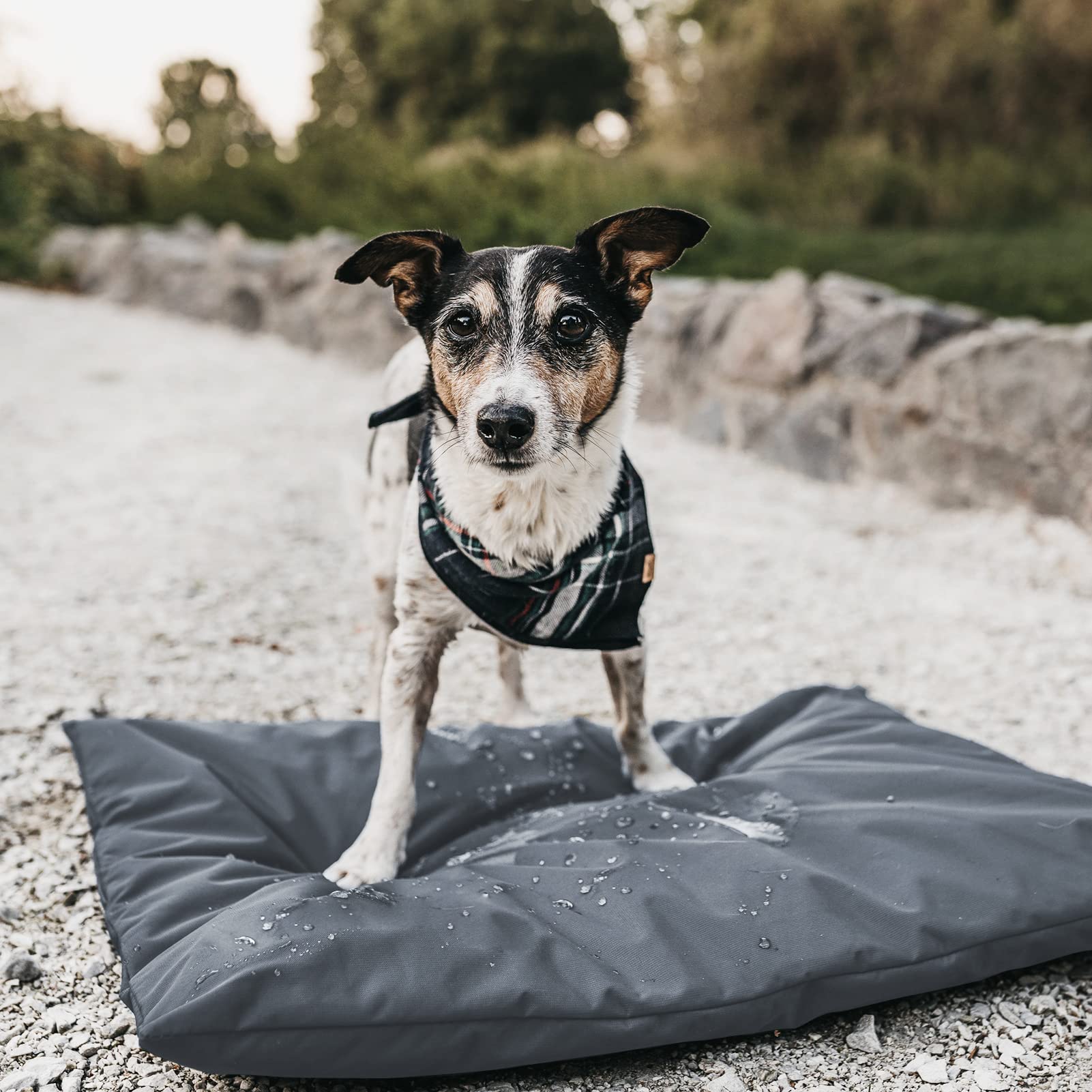 ANANMEI Waterproof Dog Bed Protector. (53 L x 42 W x 5 H inches) Washable Removable Orthopedic, Cooling Gel and Memory Foam Pet Bed Cover. Cover only. (Gray) - image 6