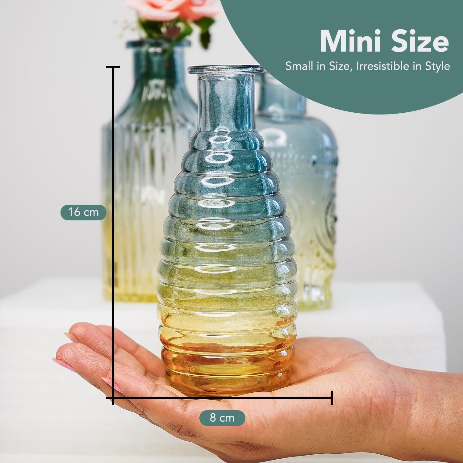 100% Crystal Clear Glass Bud Vases Flower Pots for Home Decoration (Set of 3) | Center Table Mini Decorative Items | Transparent Glass Vase for Water Plants | Glass Planters for Indoor Plants