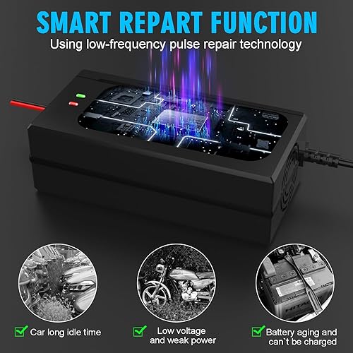 Miniatura 10 de Cargador de batería LifePO4 de 24 V, 29.2 V 10 A, cargador de goteo multietapa y mantenedor para automóvil, RV, barco, barco, 24V, litio, fosfato de