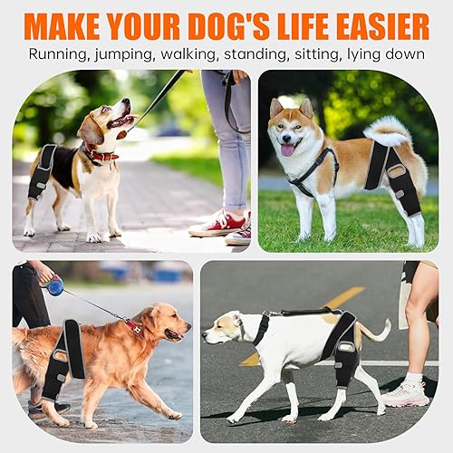 Miniatura 7 de Rodillera para perro para pierna trasera desgarrada, soporte de pierna de perro para osteoartritis, lesiones de ligamento cruzado o recuperación