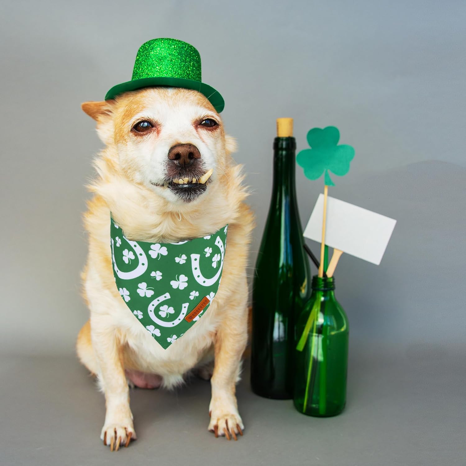 ADOGGYGO St. Patrick's Day Dog Bandana, Green Shamrock Scarf, Multi Size Offered, Saint Patrick Day Bandanas for Medium Large Dogs (Large) image 2