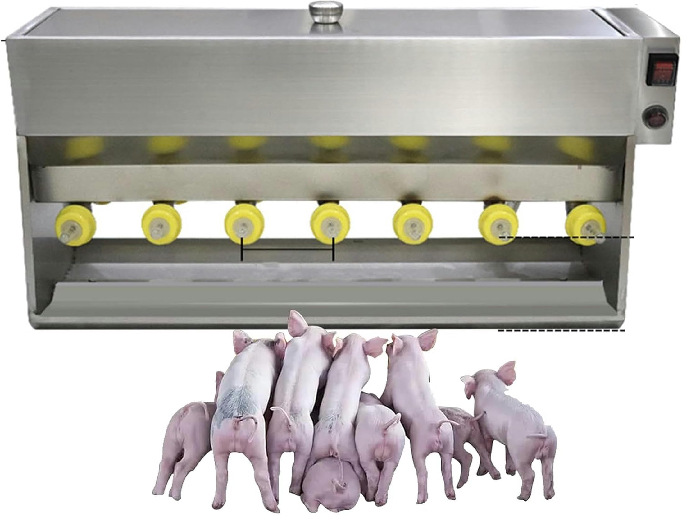 Machine d'alimentation entièrement automatique du lait de porc - Conception robuste 20L