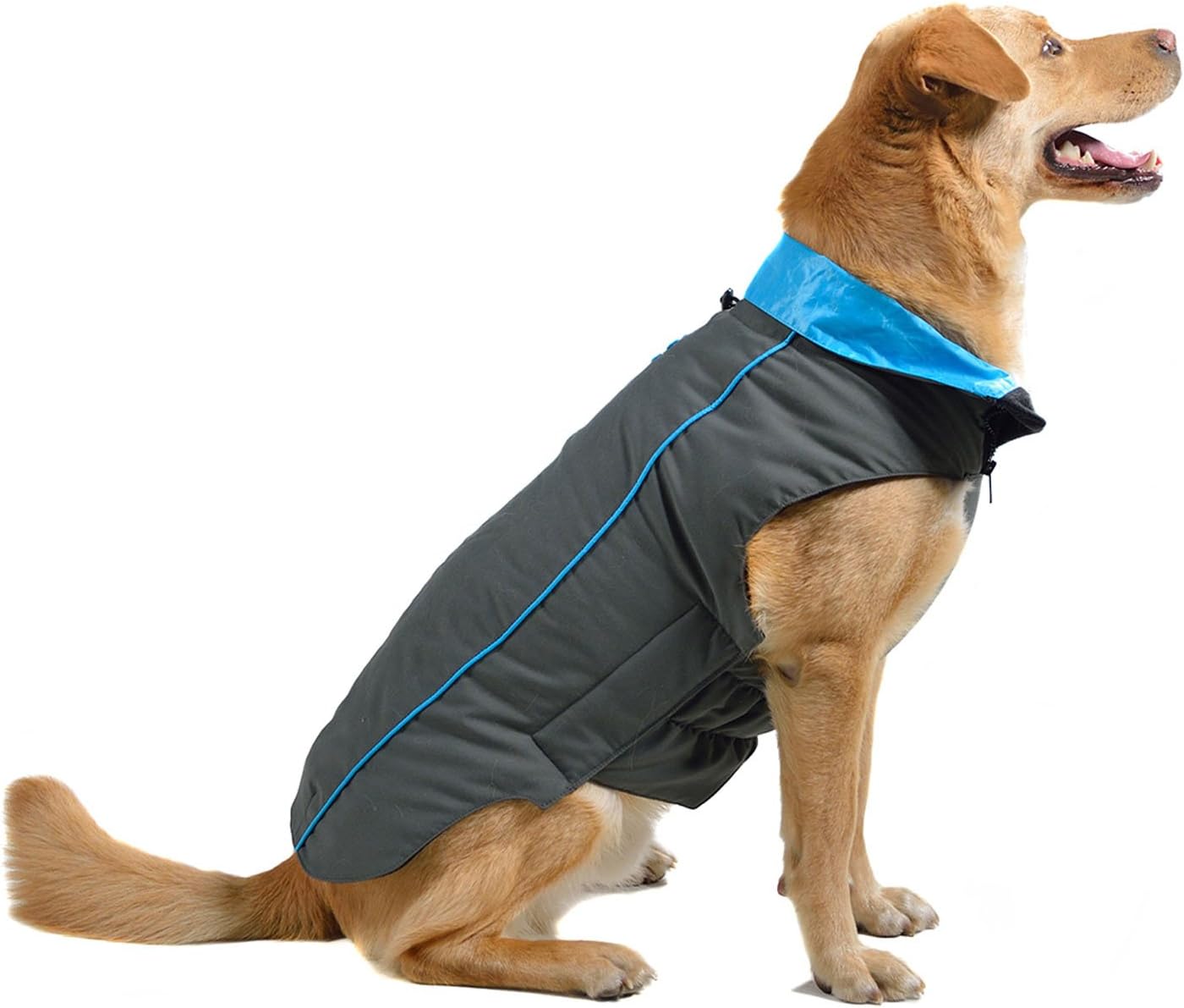 Dog Gone Smart Trailblazer Jacket with Repelz-It Nano-Protection Coat for Dogs, 10", Grey with Teal