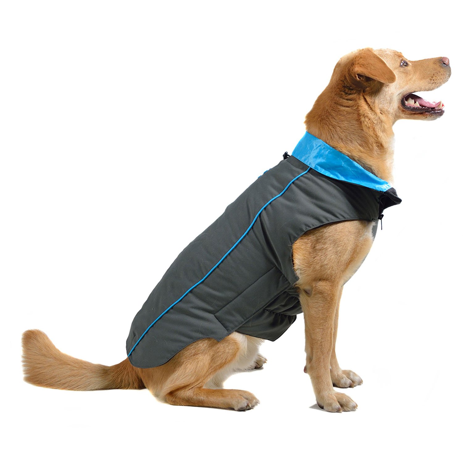 Dog Gone Smart Trailblazer Jacket with RepelzIt NanoProtection Coat