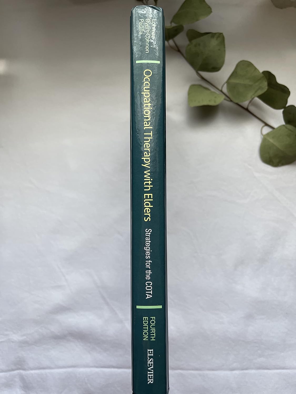Occupational Therapy with Elders: Strategies for the COTA
