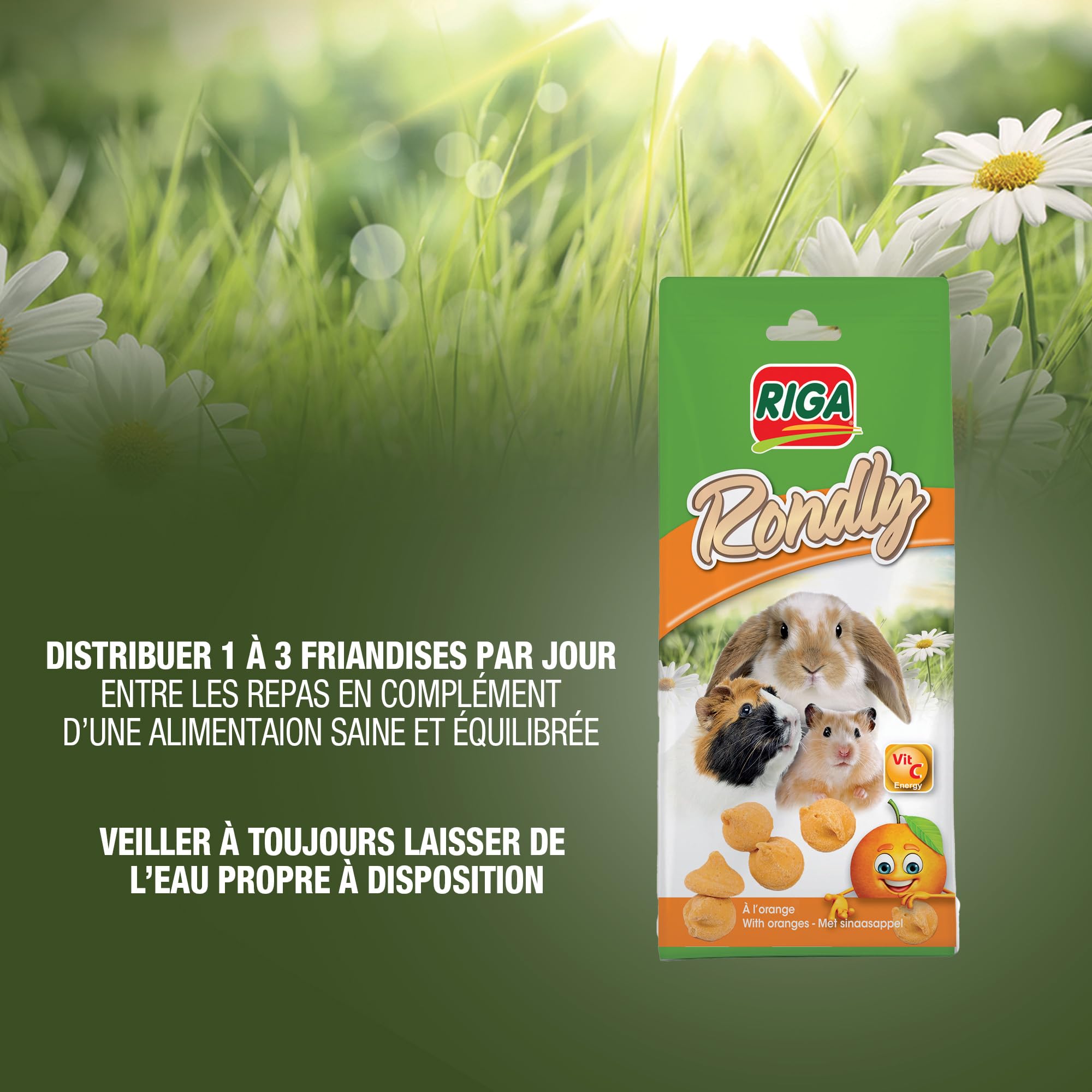 Riga - Rondly à l'Orange - Friandise Complémentaire pour Rongeur - A Base De Produits Laitiers - A l'Orange - Récompense Idéale - Friandise Croquante Et Savoureuse - 125 g