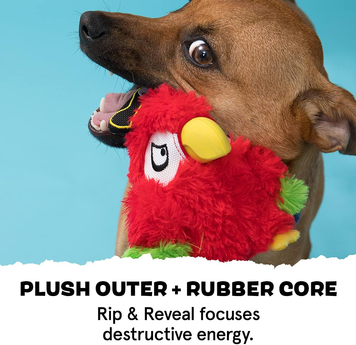 barkbox extreme chewers