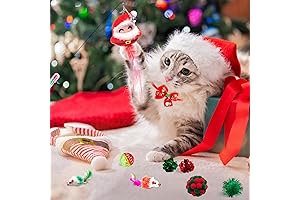 Advent Cat Calendar 2023: Countdown to Christmas with Your Feline Friend