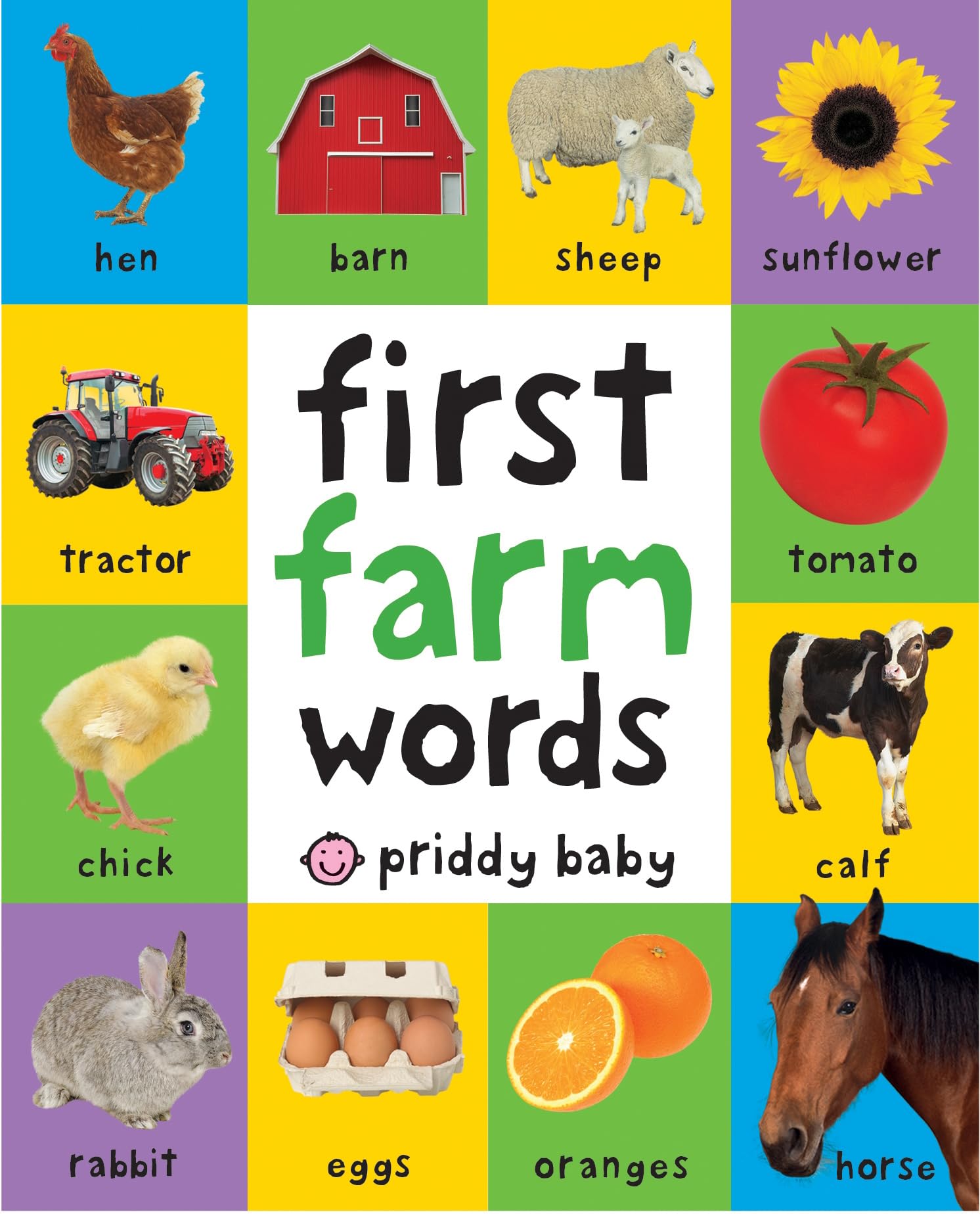 First 100 Padded: First Farm Words Hardcover – Illustrated, March 7, 2017
