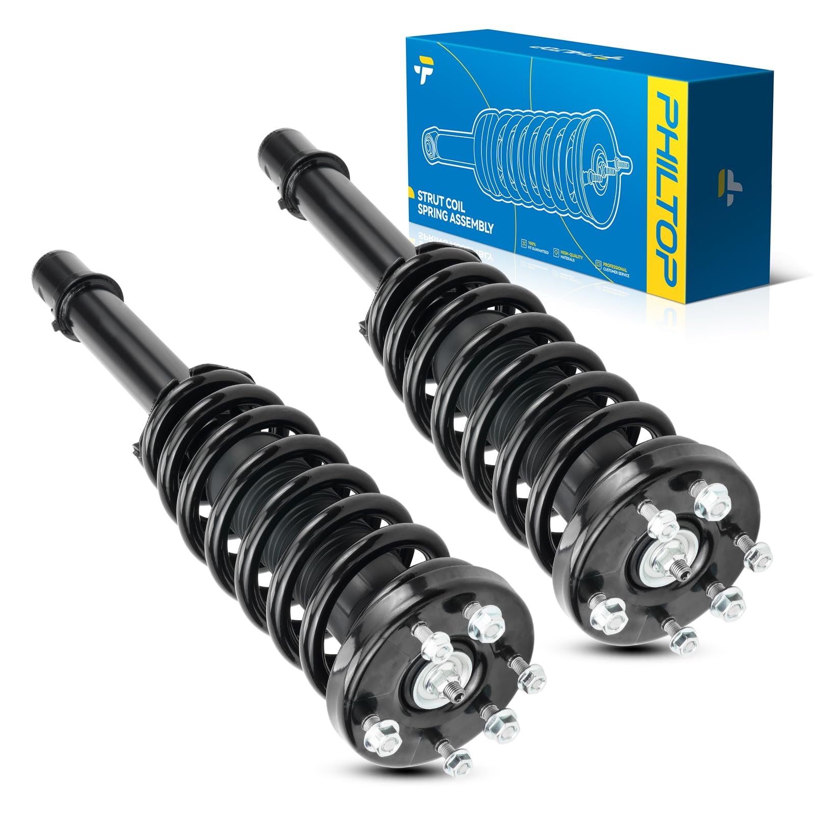 PHILTOP 2Pcs Front Quick Strut Assembly for 2004-2008 TL